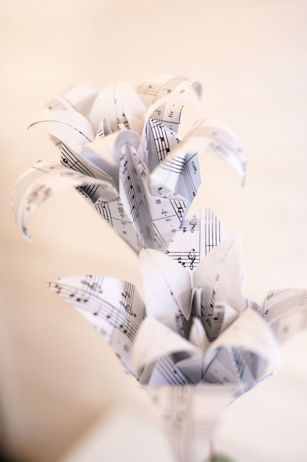 Photo représentant deux fleurs de lys composées de doubles corolles créées à partir de partitions musicales