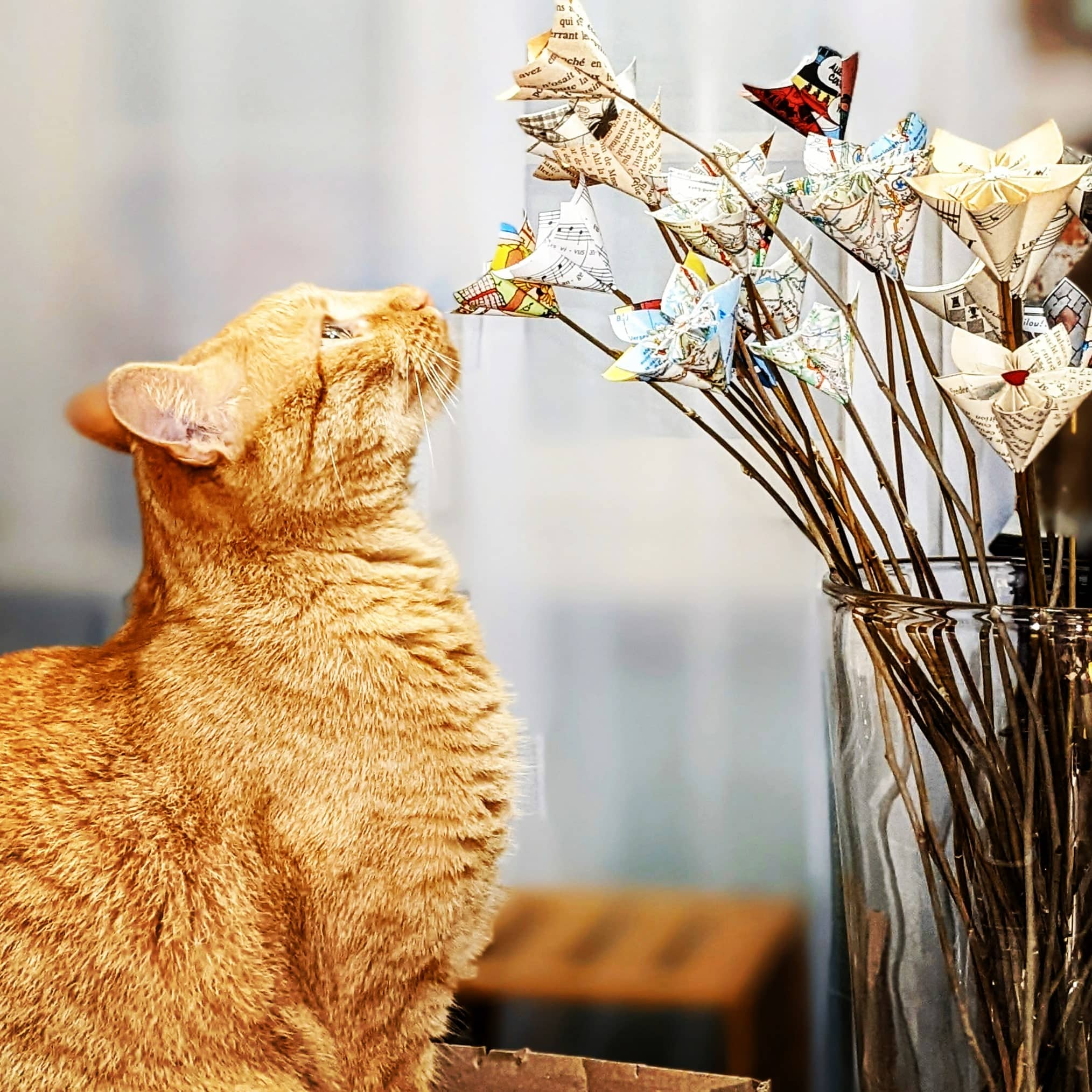 Cette photo représente un chat choux en train de sentir des fleurs en papier upcyclé